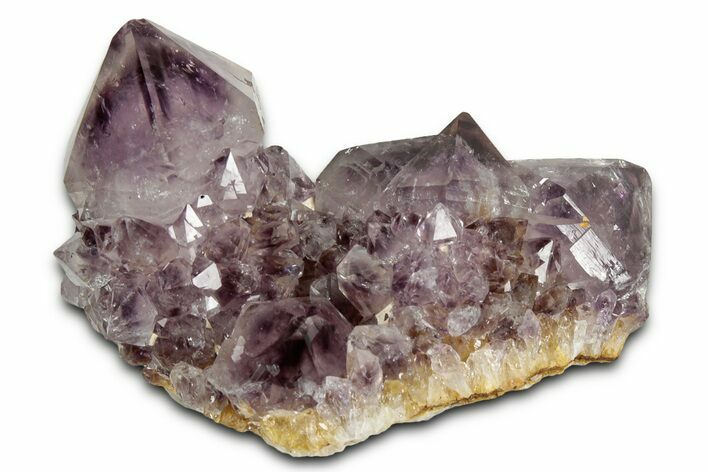 Deep-Purple Cactus Amethyst Crystal Cluster - South Africa #337621